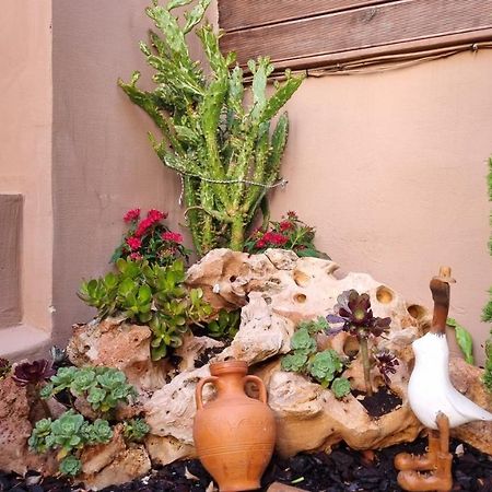 شقة Cypress Garden House Gazi المظهر الخارجي الصورة