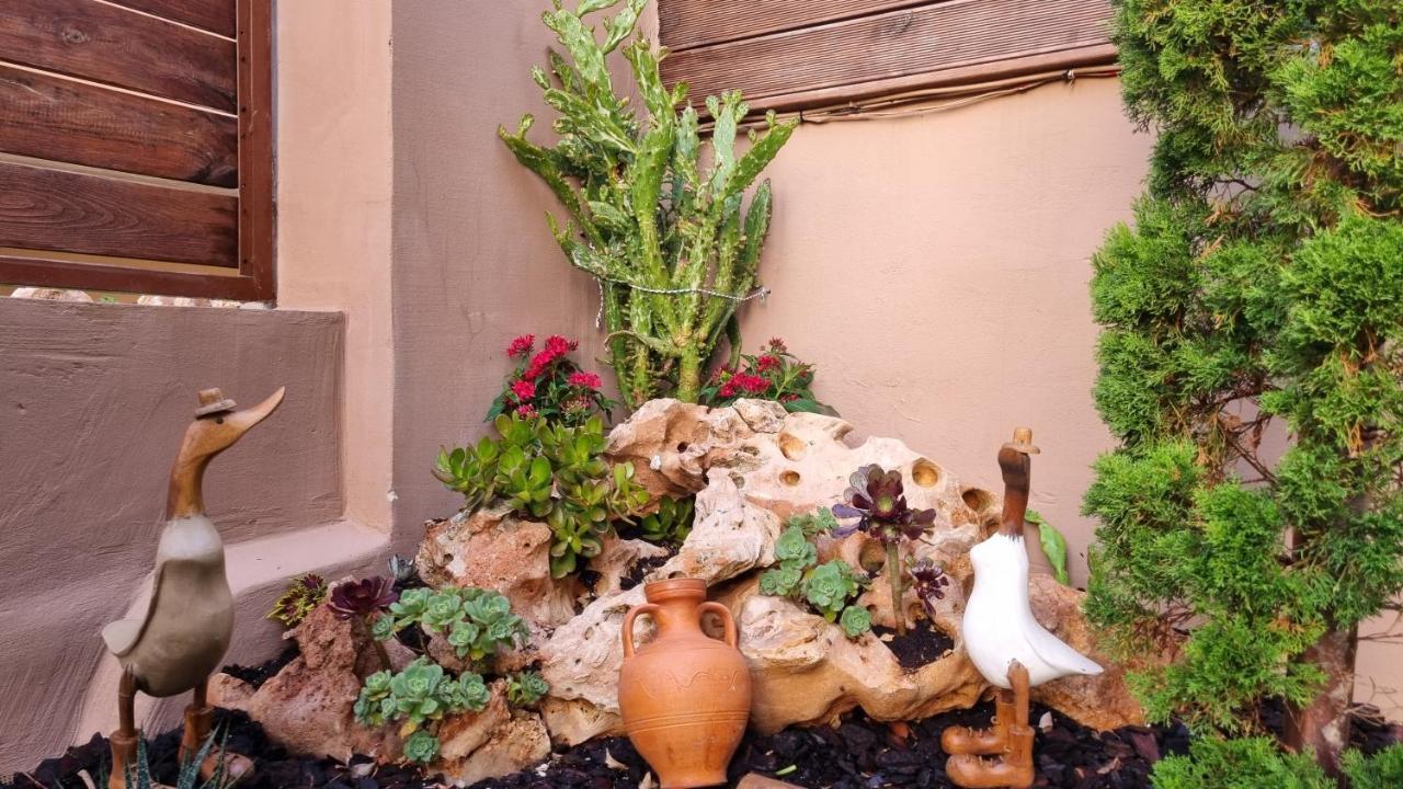 شقة Cypress Garden House Gazi المظهر الخارجي الصورة